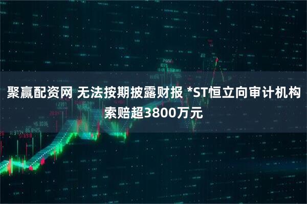 聚赢配资网 无法按期披露财报 *ST恒立向审计机构索赔超3800万元