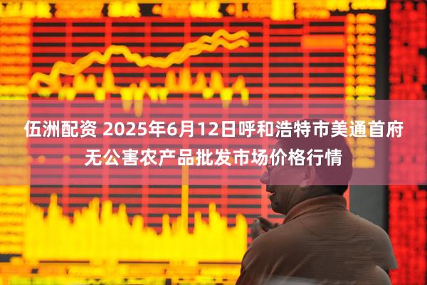 伍洲配资 2025年6月12日呼和浩特市美通首府无公害农产品批发市场价格行情
