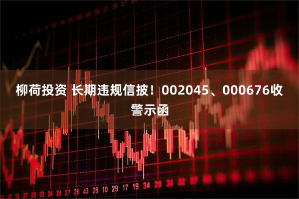 柳荷投资 长期违规信披！002045、000676收警示函